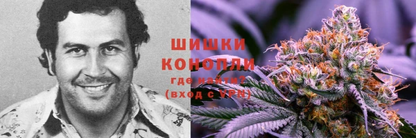 марки lsd Гусев